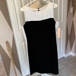 Elegant Black and White Sleeveless Dress